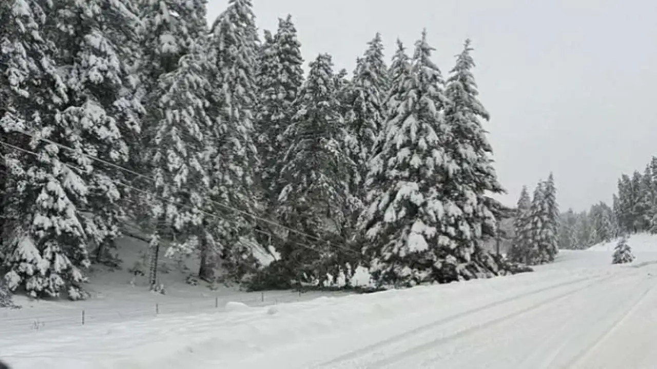 طوارئ في 22 ولاية.. عاصفة شتوية تضرب أمريكا وتتسبب في خسائر واسعة